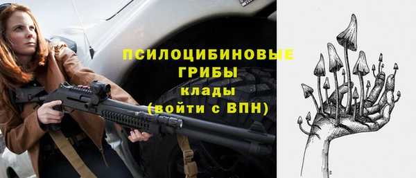 индика Михайлов