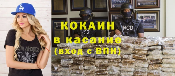 индика Михайлов