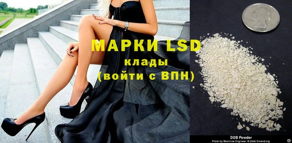скорость Бердск