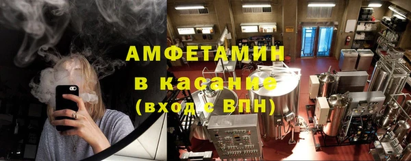 индика Михайлов
