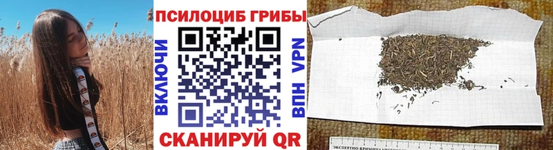 Псилоцибиновые грибы GOLDEN TEACHER Грайворон