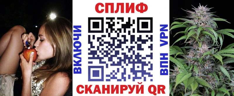 МАРИХУАНА план  закладка  Грайворон 